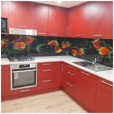 virtuvine-sienele-dekoruota-03